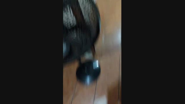novinho_braz  12-11-2023 Recorded Video natural