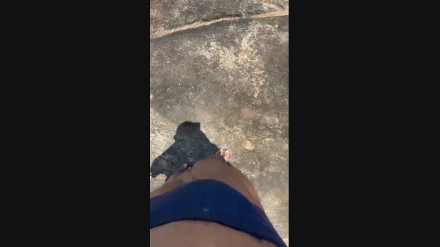 recoblue22cm  12-11-2023 Recorded Video jerking