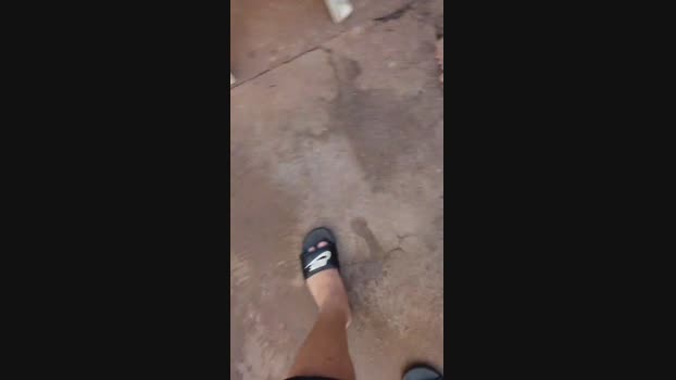 gabr195  12-11-2023 Recorded Video lush