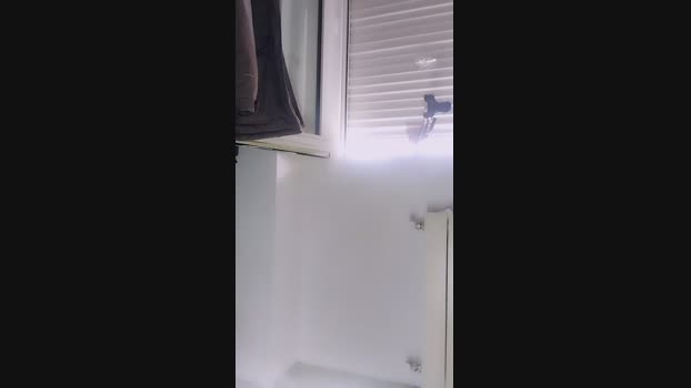 Cristiam3  14-11-2023 Recorded Video play
