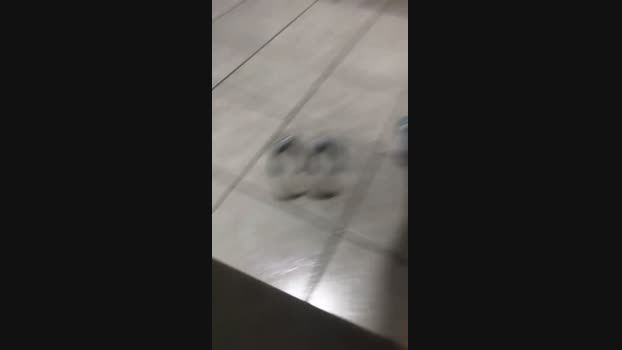 Galegorosado  15-11-2023 Recorded Video jackoff
