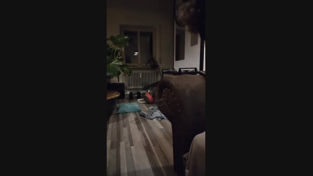 Majo_Boy  14-11-2023 Recorded Video sexykitty