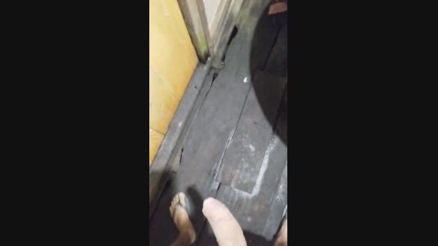 Marcelo20144  15-11-2023 Recorded Video gag