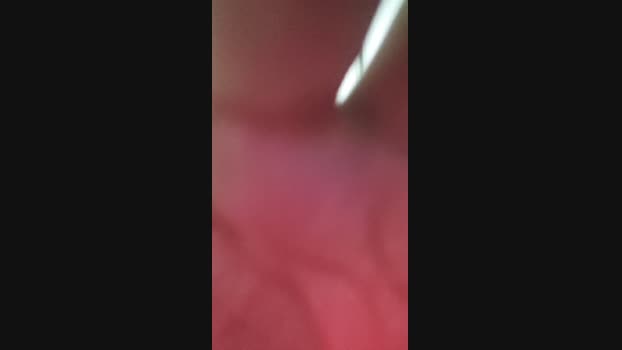 Reidevarinhas99  15-11-2023 Recorded Video striptease