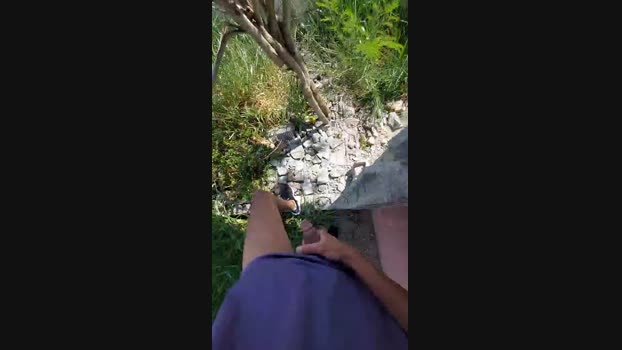 jao_magrao  14-11-2023 Recorded Video Video