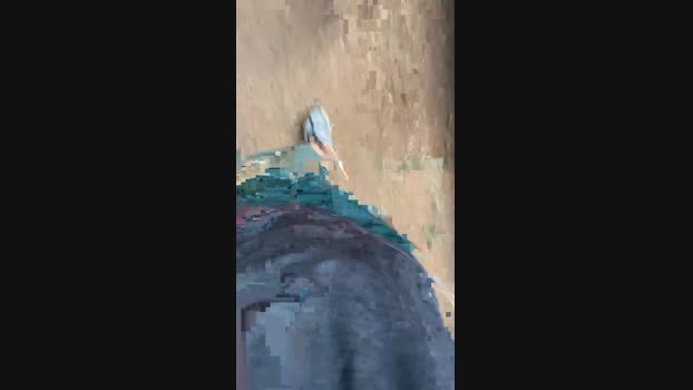 JonnyMask_sex  15-11-2023 Recorded Video sexy