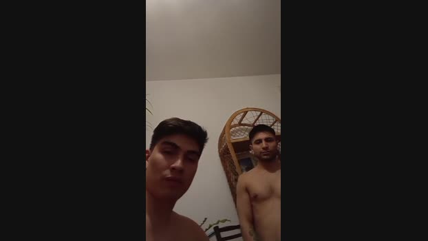 nofightnofun
