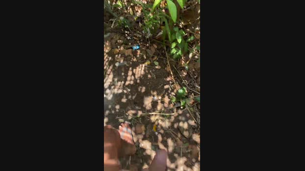 recoblue22cm  16-11-2023 Recorded Video lick
