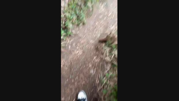 thomas_20fun  16-11-2023 Recorded Video harddick