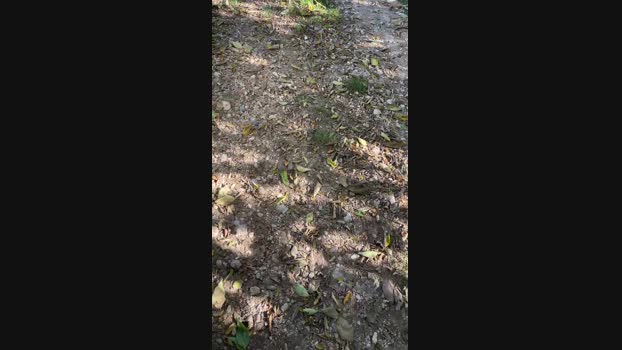 Edward_venezia  17-11-2023 Recorded Video twink