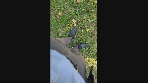 Scarearies  17-11-2023 Recorded Video strip