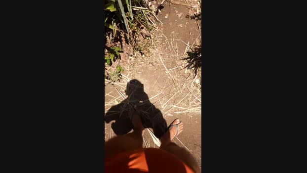 recoblue22cm  17-11-2023 Recorded Video hot