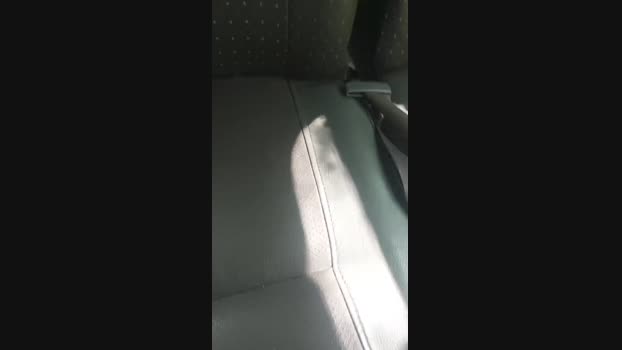 thomas_20fun