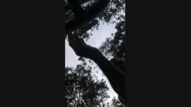 Daniel_couple1  18-11-2023 Recorded Video squirt