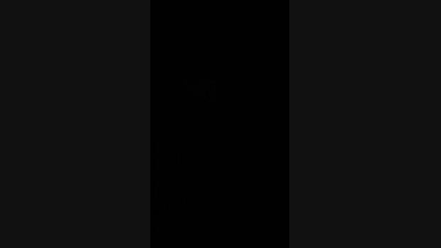 Lofan1069  17-11-2023 Recorded Video bigload