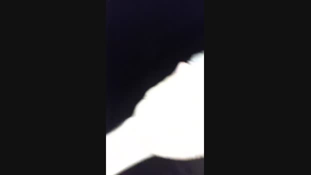 Paulistaqui