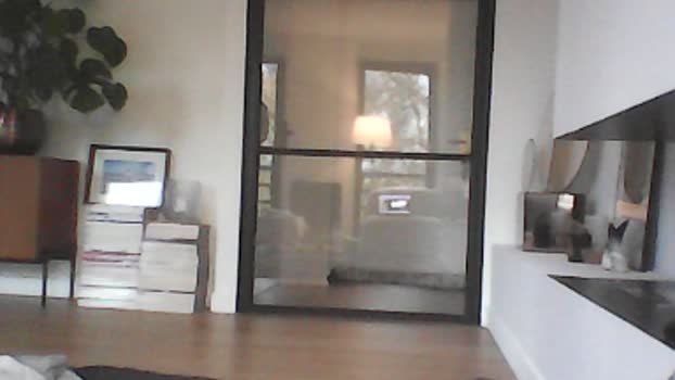 bashervibes  18-11-2023 Recorded Video bigass