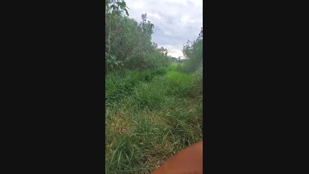 jao_magrao  17-11-2023 Recorded Video big