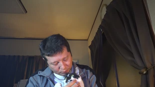michio4  18-11-2023 Recorded Video lush