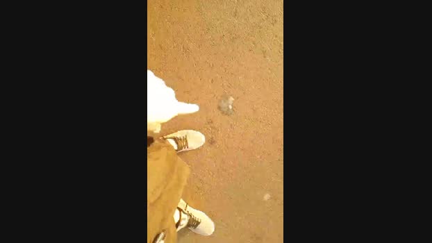 paulistavoltou  18-11-2023 Recorded Video fuckass