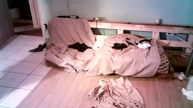 BG33LS  19-11-2023 Recorded Video moan