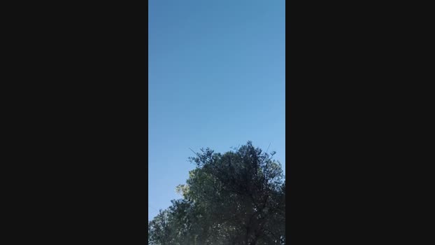 ChicoElektroc