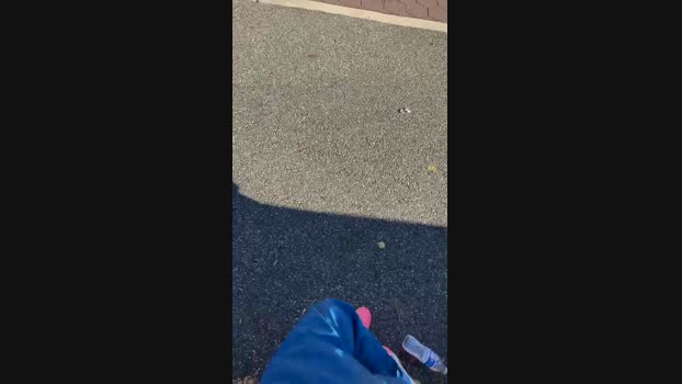 CubaEcuador1  18-11-2023 Recorded Video bigtoys