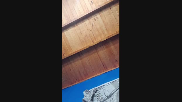gabriel4205  19-11-2023 Recorded Video spank