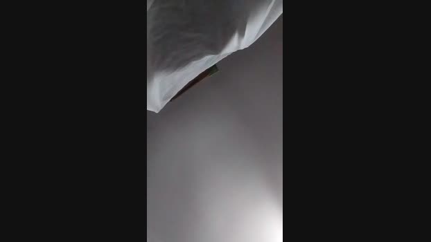 hotstg69  19-11-2023 Recorded Video fuck