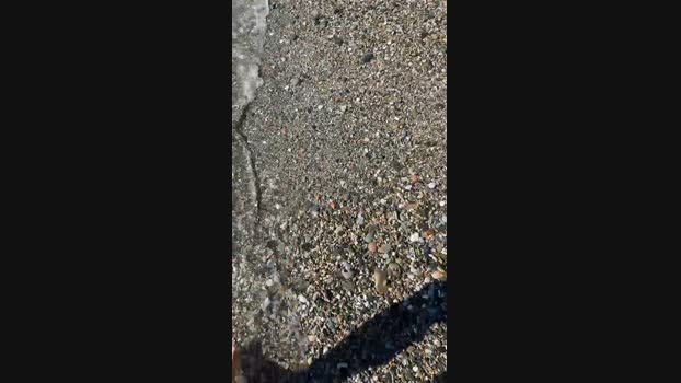 Fran20190  20-11-2023 Recorded Video jerkoff