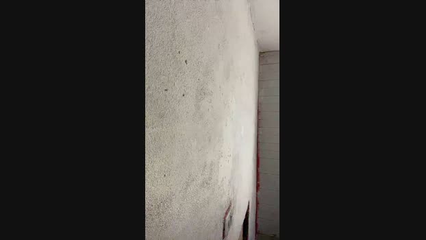 halaelson1  20-11-2023 Recorded Video sexykitty