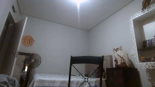 matt_donovan  20-11-2023 Recorded Video gay