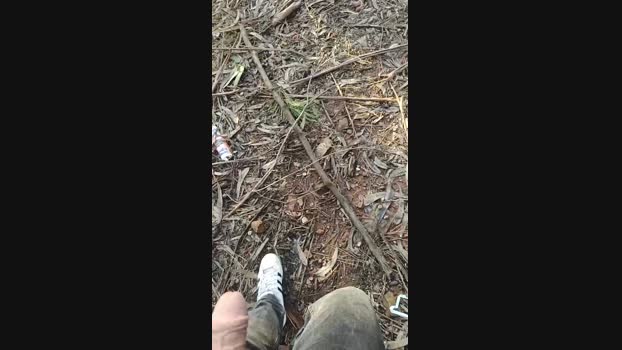Francisco198308  20-11-2023 Recorded Video natural