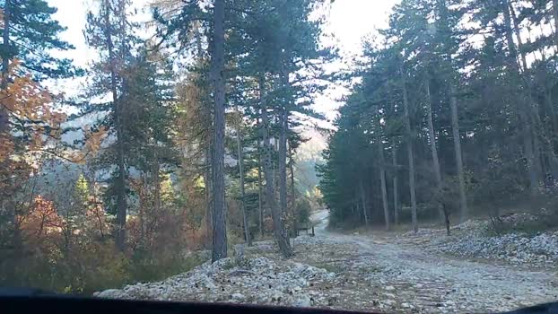 remi06  21-11-2023 Recorded Video love