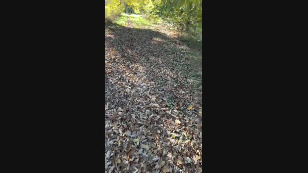 Edward_venezia  22-11-2023 Recorded Video orgasm