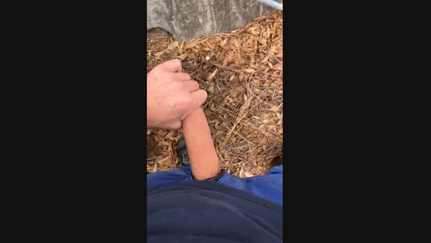 Elisir1987  22-11-2023 Recorded Video yummy