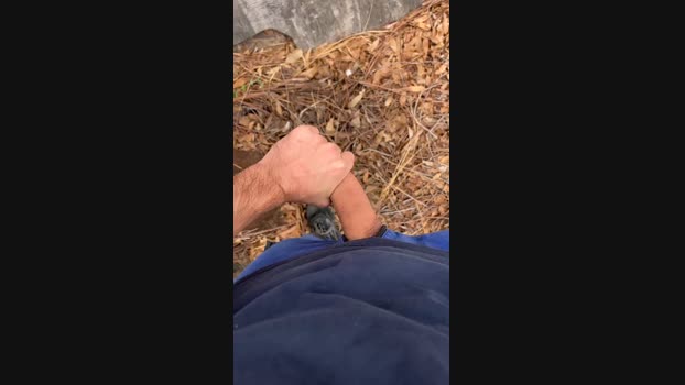 Elisir1987  22-11-2023 Recorded Video kissing
