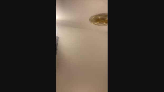 Locodice9  22-11-2023 Recorded Video strip