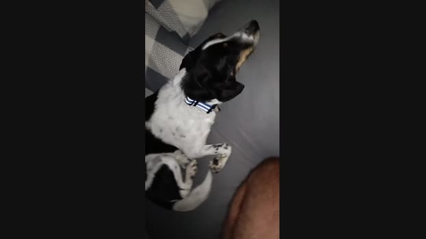 Looper72  22-11-2023 Recorded Video hardcock