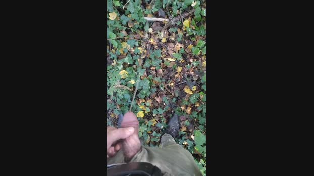 Scarearies  22-11-2023 Recorded Video horny