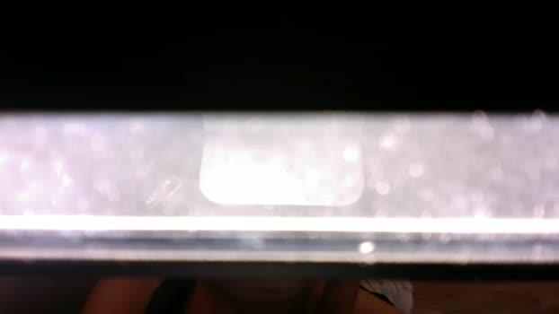 bart_jam  22-11-2023 Recorded Video Nude