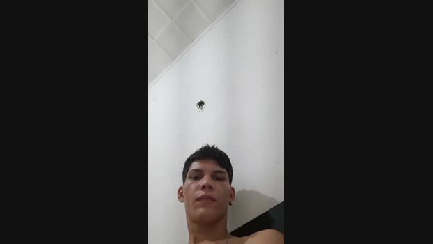joao3857  22-11-2023 Recorded Video big