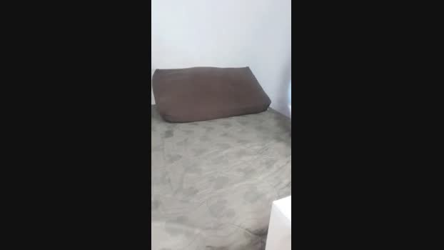 Ltsafado  23-11-2023 Recorded Video sexymale