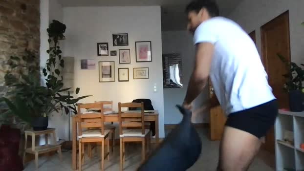 boxer_hot4  23-11-2023 Recorded Video XXX