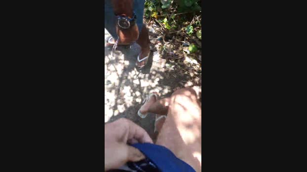 recoblue22cm  23-11-2023 Recorded Video oral