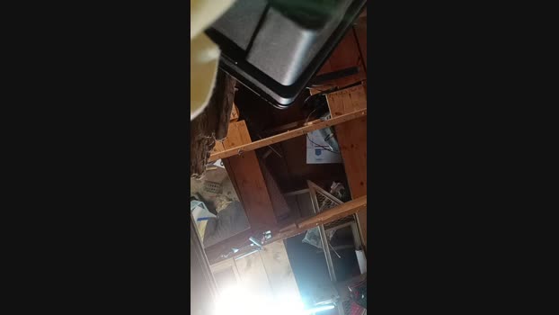 thompson3  23-11-2023 Recorded Video harddick