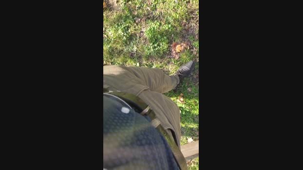 Scarearies  24-11-2023 Recorded Video suck