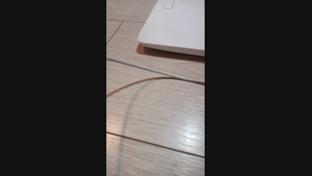 alessandrospain  23-11-2023 Recorded Video skinny