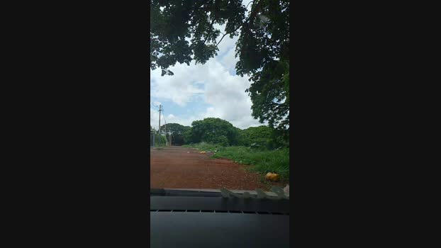 novinho_braz  24-11-2023 Recorded Video prettyface