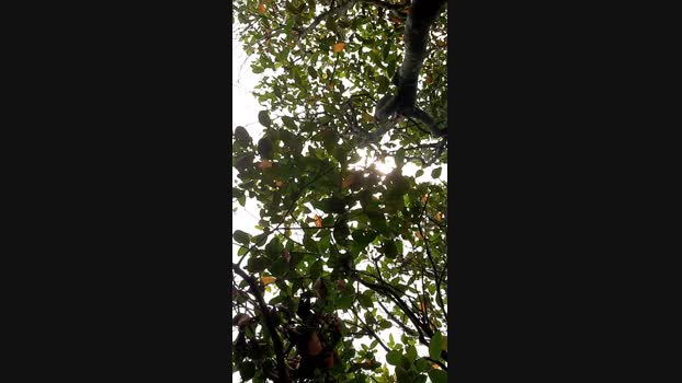 recoblue22cm  24-11-2023 Recorded Video prettyface
